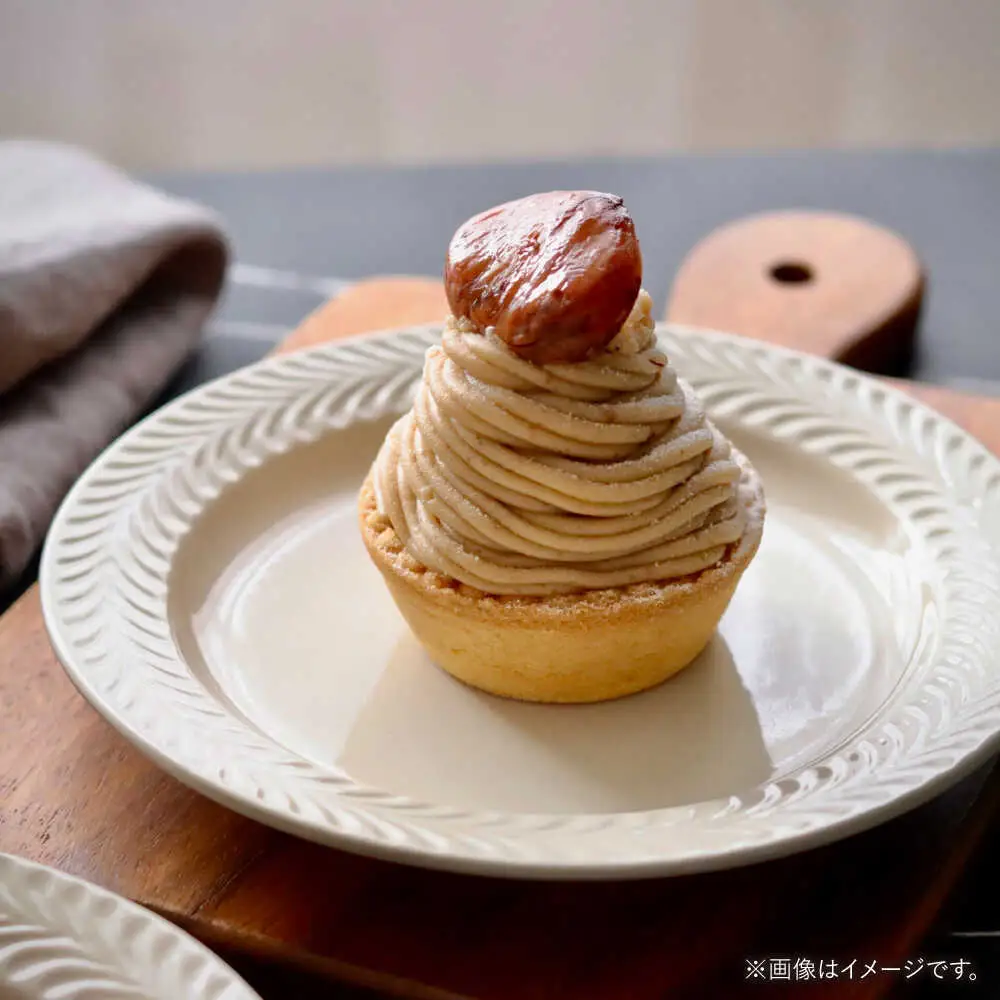 【波佐見焼】ローズマリー　リムプレートM アイボリー 2枚セット　食器 皿【翔芳窯】[FE582]