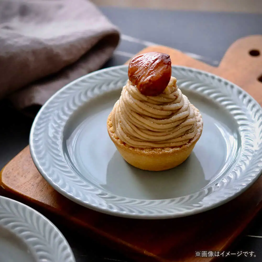 【波佐見焼】ローズマリー　リムプレートM グレー 2枚セット　食器 皿【翔芳窯】[FE584]