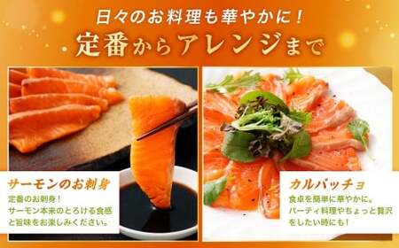 北海道産サーモン 約800g （約200g×4パック） サーモン 本マス マス 天然 新鮮 塩締め 急速凍結 小分け 冷凍