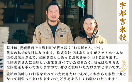 ＜令和7年産 お米 食べ比べ 3種セット 合計約6kg（各2kg）＞ 米 コメ こめ 白米 精米 コシヒカリ にじのきらめき ヒノヒカリ 穀物 特産品 宇都宮米穀 愛媛県 西予市【常温】『最短10営業日以内に順次出荷予定』NKU0004