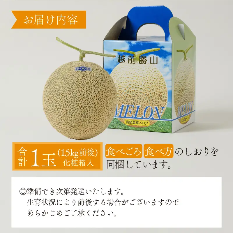 【先行予約】アールスメロン 青肉 1玉 [A-060005]