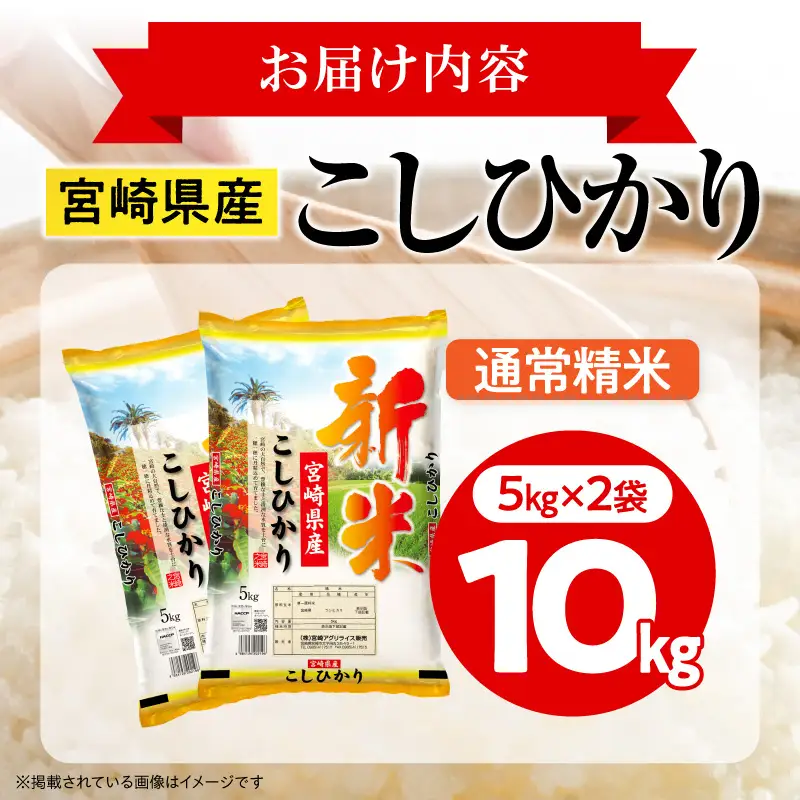 米 こしひかり 合計10kg 米[令和8年産 宮崎県産 5kg×2袋 2～7営業日以内に発送予定]