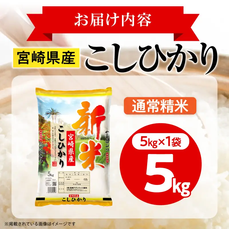 米 こしひかり 合計5kg 米[令和8年産 宮崎県産 5kg×1袋 2～7営業日以内に発送予定]