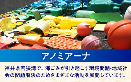 海洋プラスチック アップサイクル デスクセット 青色系 (ペントレイ・小物トレイ) / リサイクル 海洋資源 ビーチクリーン buoy 小浜市 / アノミアーナ[BFDM009]