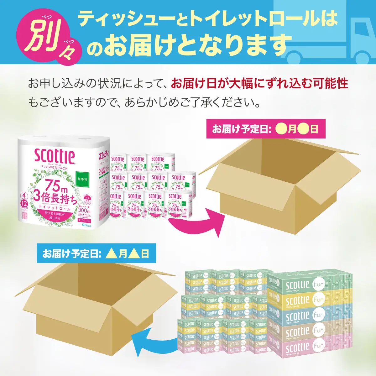 トイレットペーパー ティッシュペーパー 日用品セット2 トイレットペーパー ティッシュ 草加市