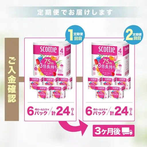 トイレットペーパー 【定期便 3ヶ月×2回】 ダブル スコッティ 草加市