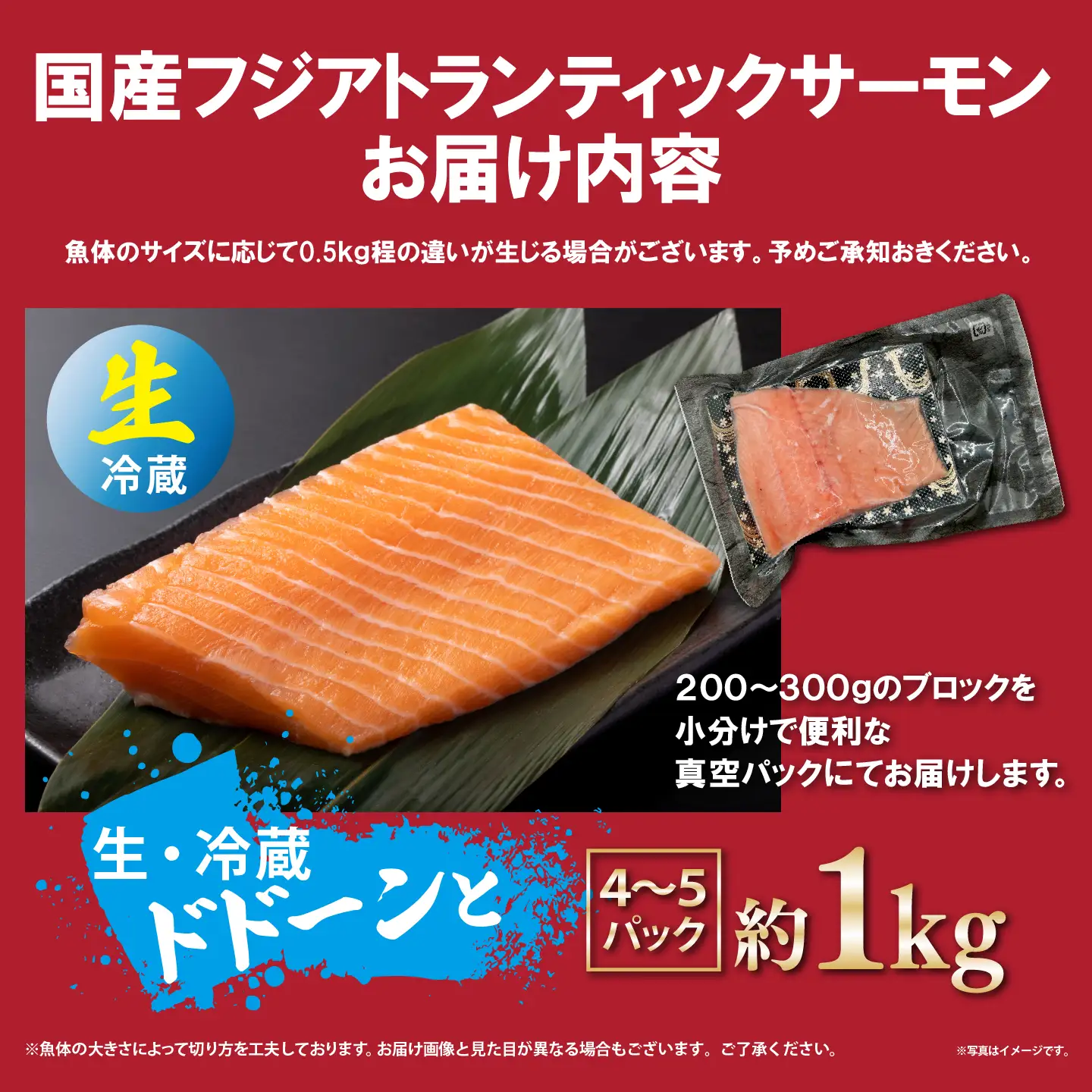 サーモン 約1kg 小分け 4～5P 国産サーモン