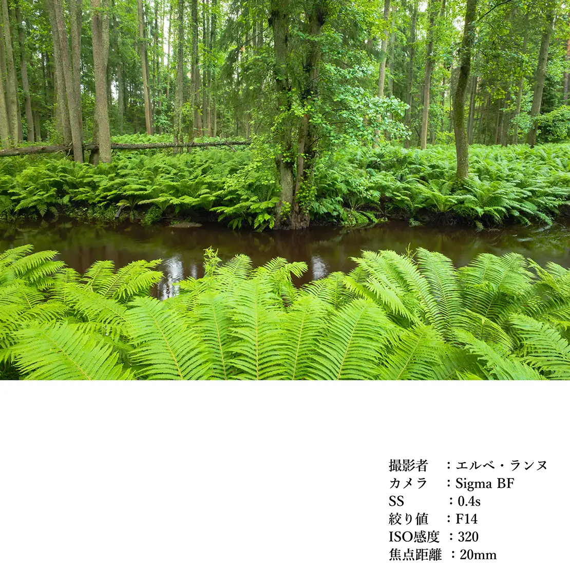 SIGMA 20-200mm F3.5-6.3 DG | Contemporary【Lマウント】カメラ レンズ 家電
