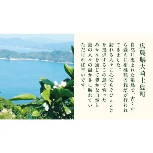 有機夏橙の果実酒 「SPONTANE vin de fruits」