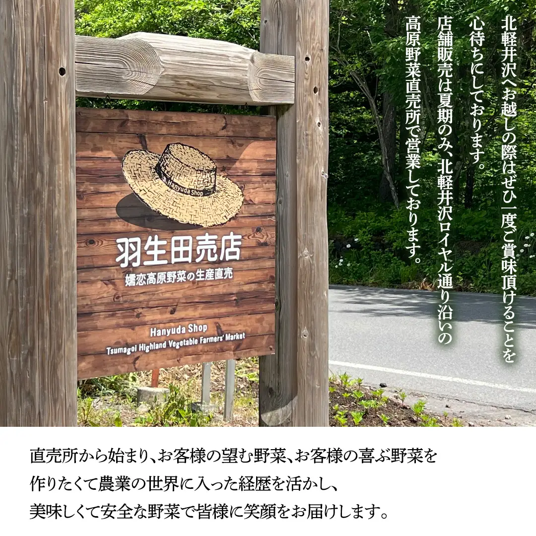 【ふるなびWEEK対象】 ＜レビューキャンペーン開催中＞【8月下旬発送開始】 甘～いトウモロコシ 恵味 5kg 約10～12本 [AL005tu02]