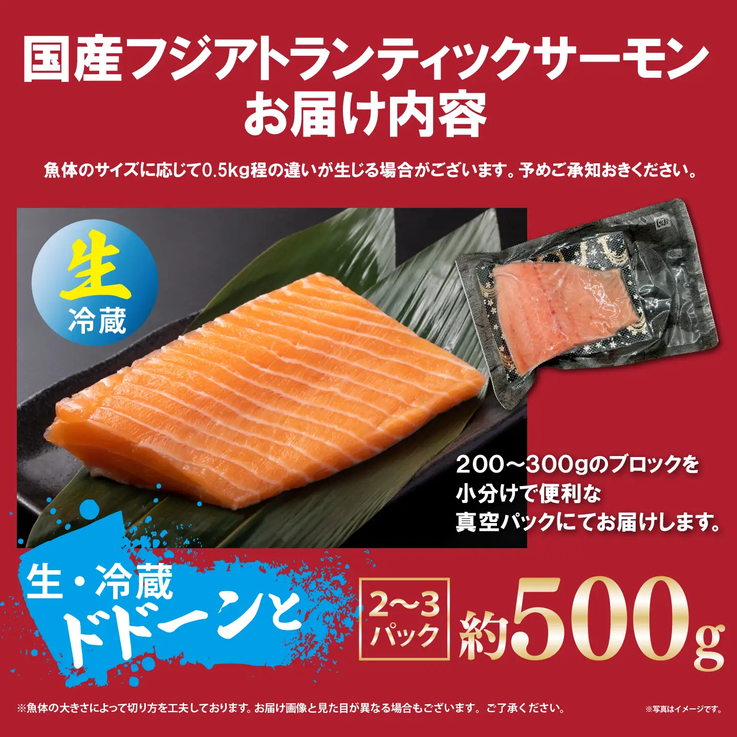 サーモン 約500g 小分け 2～3P 国産サーモン