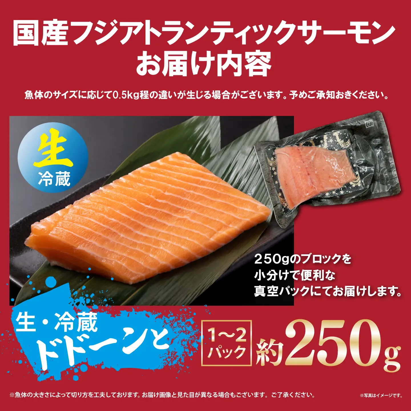サーモン 約250g 小分け 1～2P 国産サーモン