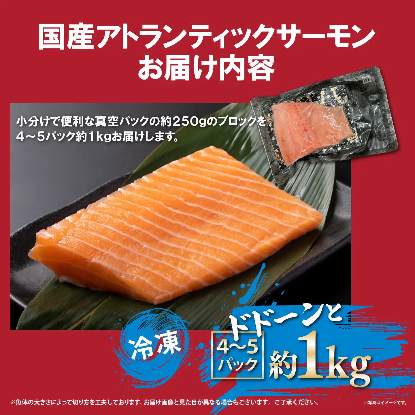 国産サーモン 冷凍 4～5P 約1kg サーモン