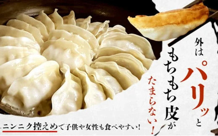 生餃子 144個  餃子