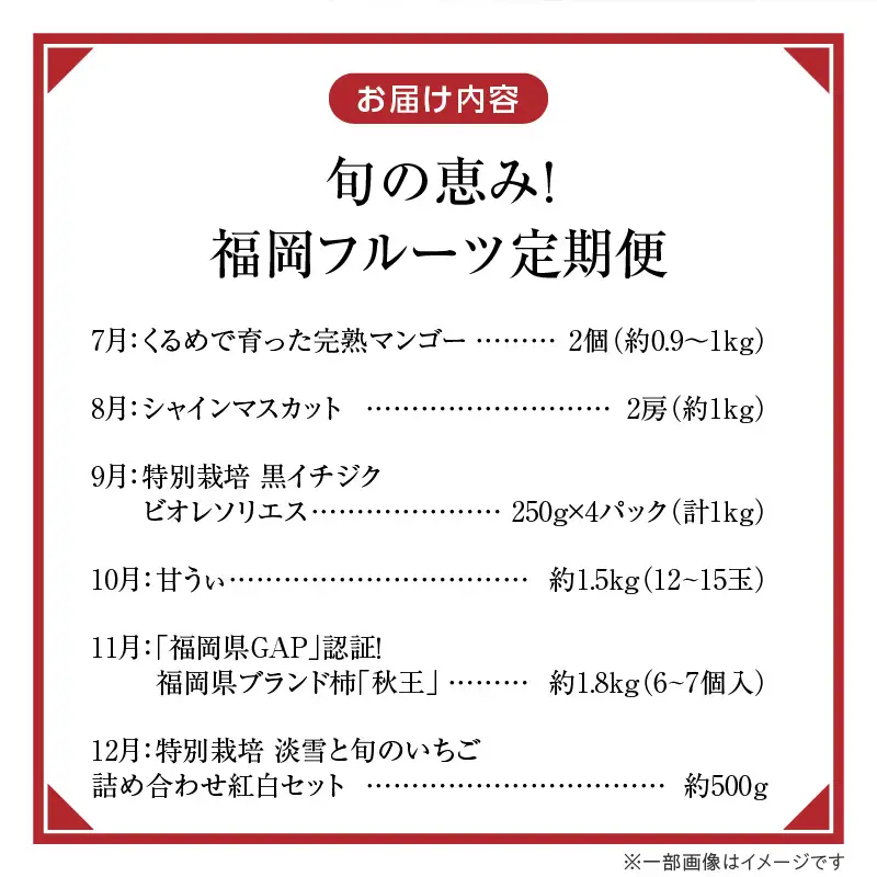 【定期便 6回】旬の恵み！福岡フルーツ定期便 _ 定期便 6回 フルーツ 完熟 マンゴー シャインマスカット 黒イチジク ビオレソリエス キウイ 甘うぃ 柿 福岡県GAP 秋王 あまおう いちご グルメ 旬 お取り寄せ 福岡県 久留米市 送料無料  〔Tk127〕