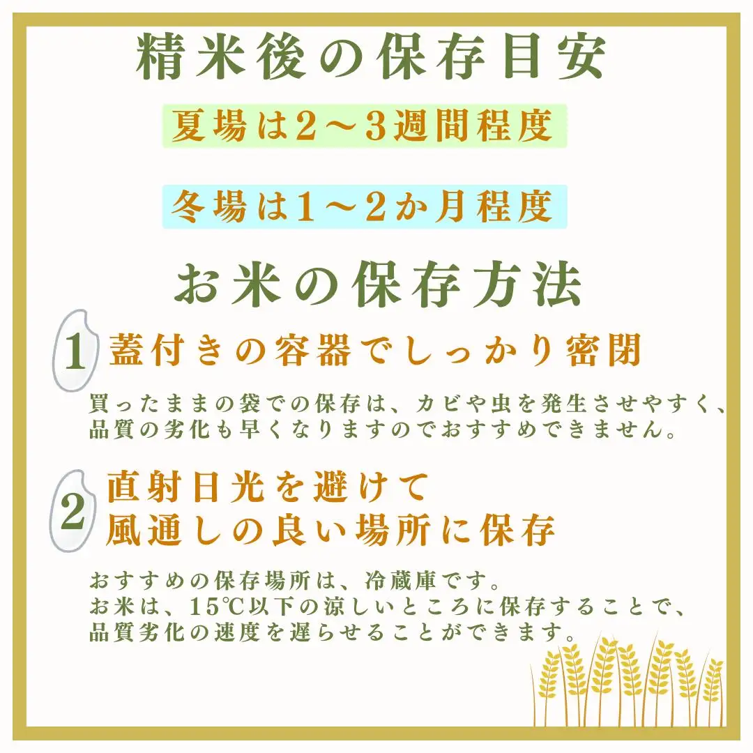 【3か月定期便】コシヒカリ 無洗米 5kg(1袋)×3回 株式会社野の香 | コシヒカリ