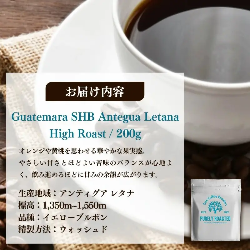 【完全受注焙煎】Tree Coffee Roasters「グアテマラ アンティグア レタナ ハイロースト」 200g - コーヒー 豆 自家焙煎 熱風式焙煎 贈り物