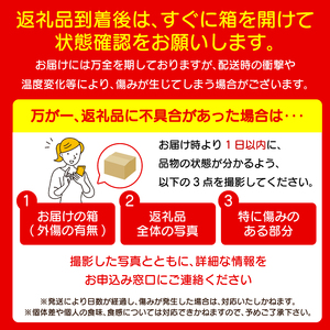 トマト 4kg 大玉 とまと