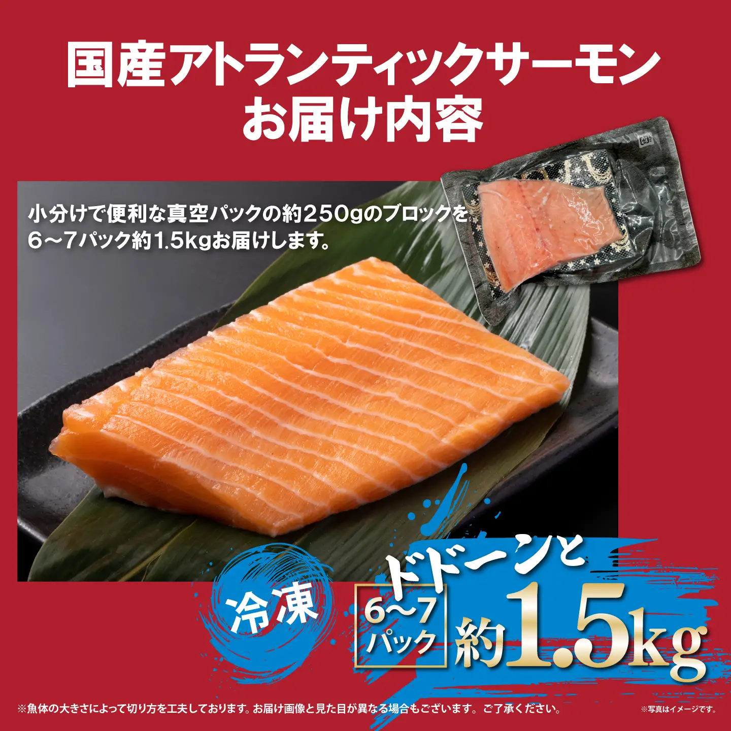国産サーモン 冷凍 6～7P 約1.5kg サーモン