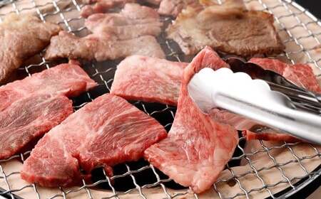 ＜宮崎牛焼肉2種（赤身霜降り） 計600g＞入金確認後、翌月末迄に順次出荷 300g×2パック お肉 肉 宮崎牛 牛肉 赤身 肩ロース ロース モモ ウデ 焼き肉 焼肉 BBQ バーベキュー 霜降り 冷凍 宮崎県 高鍋町【c1535_mc】