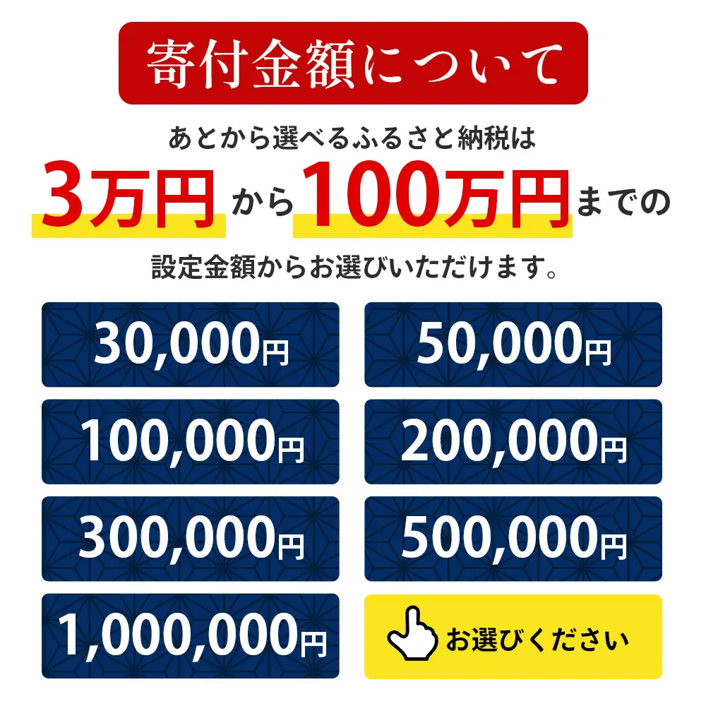 あとからセレクト【ふるさとギフト】5万円分 MN-19 │ 50000 鹿児島県 南大隅町 あとから選べる 返礼品 特産品 プラン 選べる返礼品 あとから選べる ギフト ギフトポイント 後から選ぶ カタログギフト