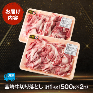 訳あり A4等級以上 宮崎牛切り落とし 500g×2P 計1kg 内閣総理大臣賞 A4 A5 宮崎牛 牛肉 