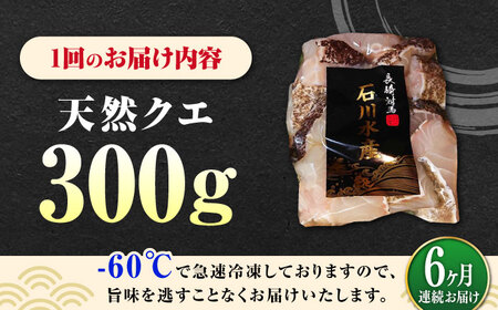 【全6回定期便】 【 対馬産 】 天然 クエ 300g （身のみ）《対馬市》【石川水産】 鍋 水炊き 鮮度抜群 海鮮[WAB034]
