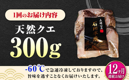 【全12回定期便】 【 対馬産 】 天然 クエ 300g （身のみ）《対馬市》【石川水産】 鍋 水炊き 鮮度抜群 海鮮[WAB035]