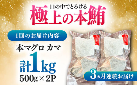 【全3回定期便】対馬産 本マグロ カマ 1kg ≪対馬市≫【桐谷商店】 トロの華 対馬 新鮮 マグロ かま 鮪[WAQ096]