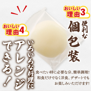 低温製法米の生まるもち 10kg [AV021]