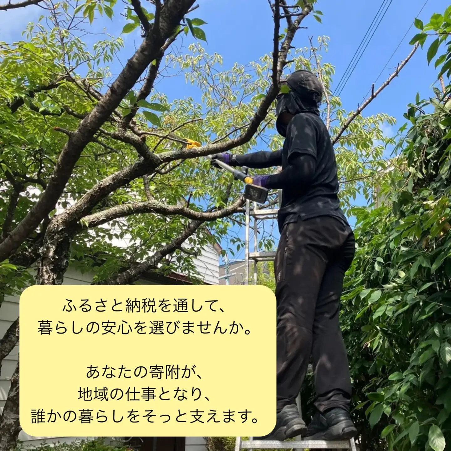 宗像市 清掃 掃除代行 3,000円割引チケット 草刈り 剪定 お墓 窓拭き 家事代行【株式会社T-challenge】_HA1713