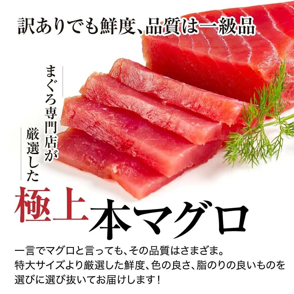 ハワイアンズ施設利用券3,000円分本マグロ訳あり中トロ1kg まぐろ