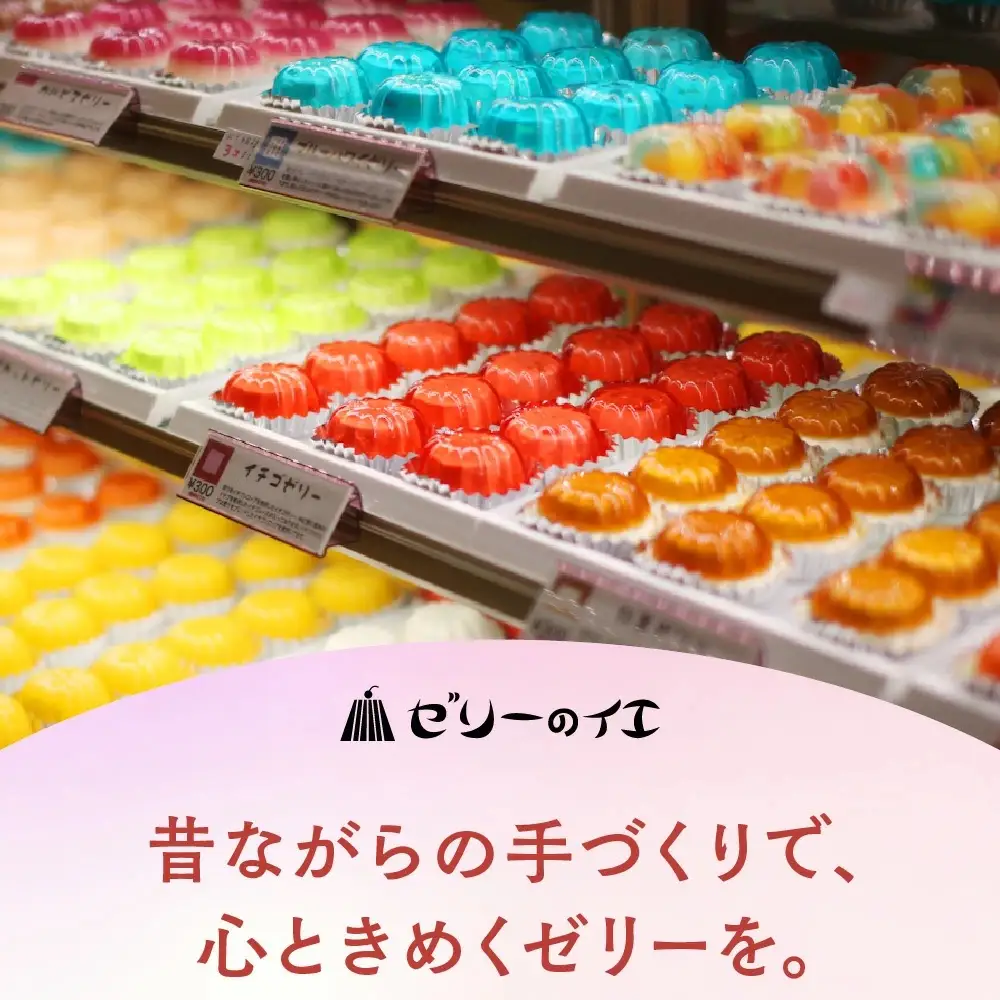 スパリゾートハワイアンズ   ファミリー向け 王道日帰りプラン 施設利用券10,000円分（5,000円分×2枚）＋ゼリー12個詰め合わせセット | 利用チケット 入場券 ホテルハワイアンズ モノリスタワー ウイルポート フラダンス プール スパ 福島県 いわき市 マウナヴィレッジ ゴルフコース カラフル 菓子 おかし スイーツ デザート 食品 人気 おすすめ | ZZ027