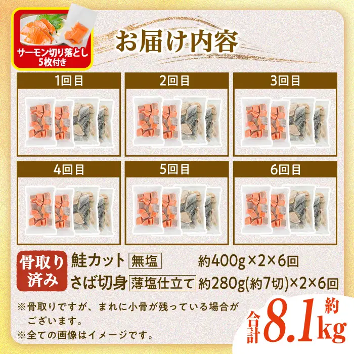 生活応援 サーモン切り落とし5枚付き！【定期便・全6回(連続)】骨取り さば切身と鮭カットのセット(総量約8.1kg)鮭 小分け 冷凍 サーモン シャケ サケ サバ 鯖 骨なし 骨取り セット 魚 魚介 【AW-108】【丸正水産】