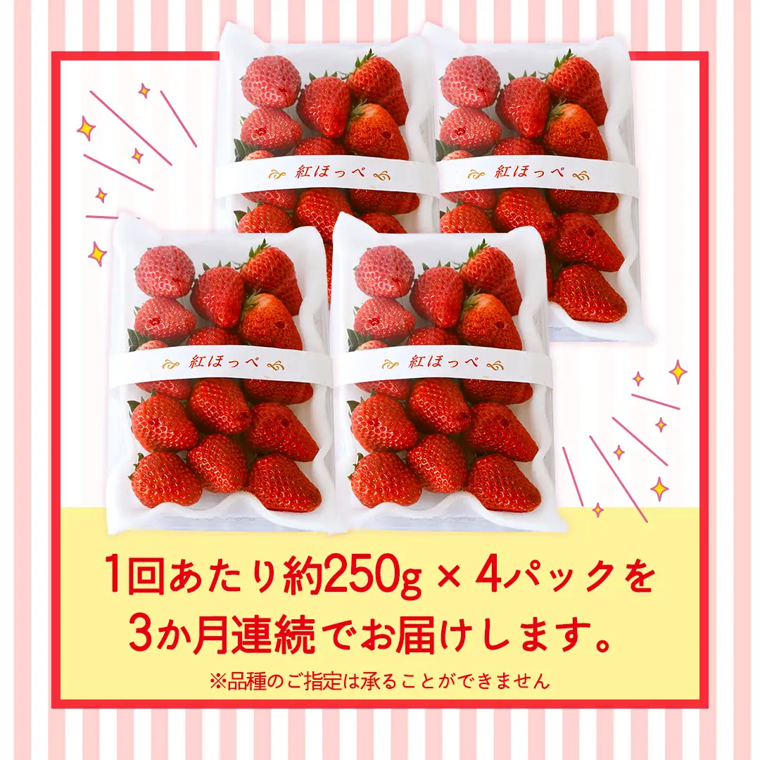 【定期便】いちご3ヶ月連続お届け便 （250g×4パック）×3回　【2027年1月から発送開始】（茨城県共通返礼品 [いちご]：城里町産）