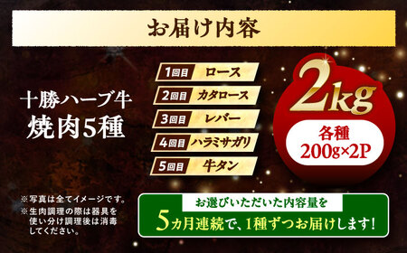 【5回定期便】 北海道 十勝 ハーブ牛 焼肉 5種  計 2kg （200g×10） 《足寄町》【株式会社ノベルズ食品】[BEAQ045]