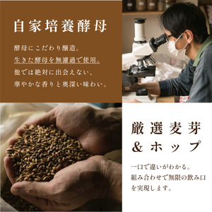 クラフトビール 〈芳香&フルボディ〉 飲み比べ（3種12本） ビール [ZIG04]