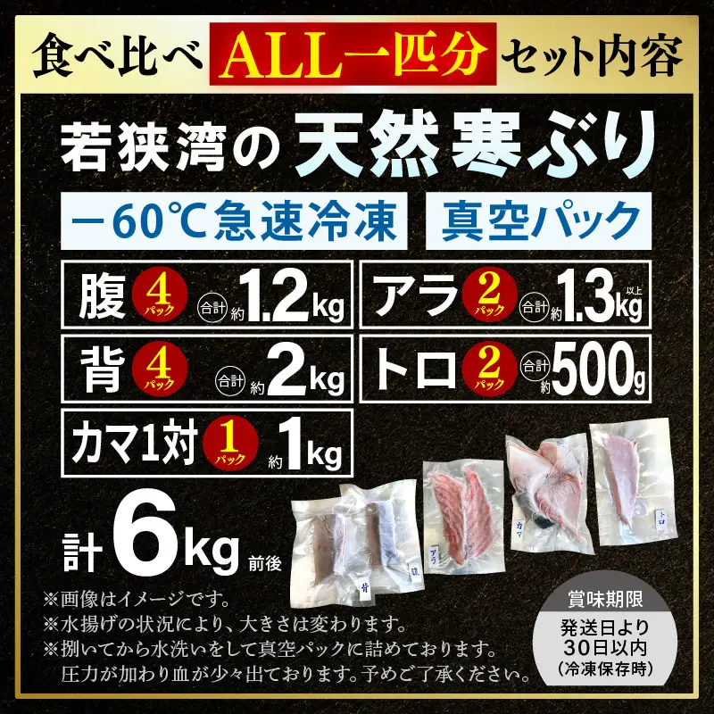 【先行予約】若狭・日向の天然寒ブリ 脂たっぷり 部位ごと食べ比べ  ALL1本分セット (腹＋背＋トロ+アラ+カマ 計6kg前後) 【2026年12月下旬以降順次発送】寒ぶり [m17-m002]