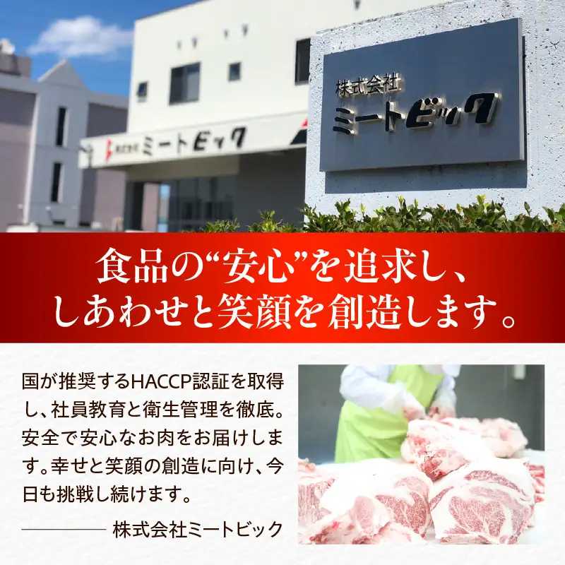 能登牛もも（しゃぶしゃぶ/すき焼き）500ｇ×1　wa121　牛もも