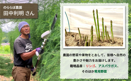 【先行受付2026年発送】農家直送！自家用りんご シナノスイート　5kg （約12～18個）｜のららぼ農園 ※2026年10月上旬～10月下旬発送予定