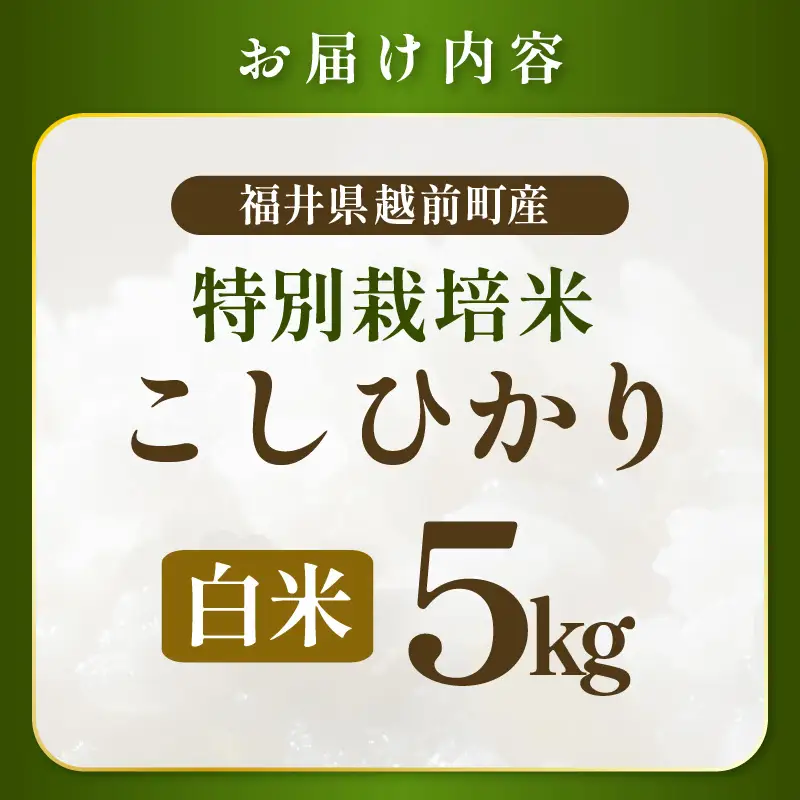 新米【令和8年産 】 特別栽培米コシヒカリ5kg 農薬化学肥料不使用（白米）【10月中旬以降発送】 [e81-b003_01]