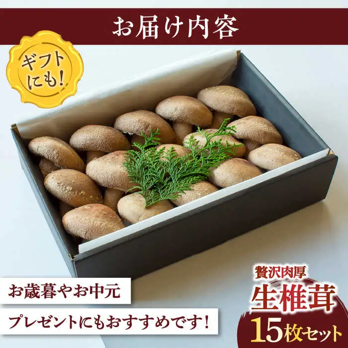 生椎茸 秀品15枚 SBX001 椎茸