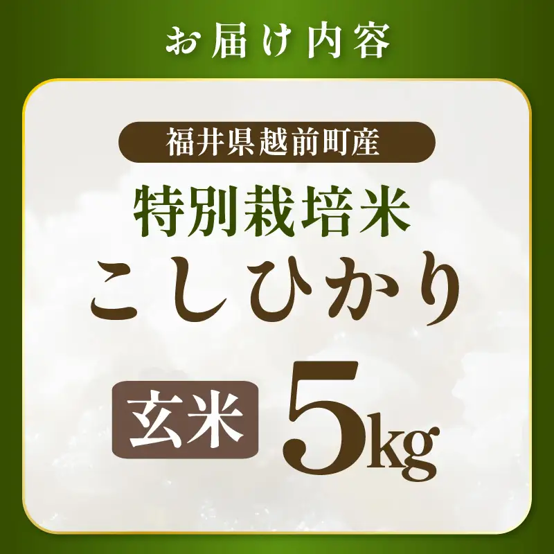 新米【令和8年産 】 特別栽培米コシヒカリ5kg 農薬化学肥料不使用（玄米）【10月中旬以降発送】 [e81-b003_02]