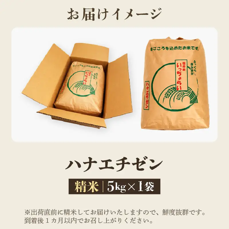 【先行予約】【令和8年産・新米】【一等米】ハナエチゼン 精米 5kg ×1袋《発送直前精米！》 ／ ブランド米 華越前 ご飯 お米 白米 新鮮 あわら市産 農家直送 大賞 受賞 新米 ※2026年9月上旬以降順次発送予定 [aw012-a034]