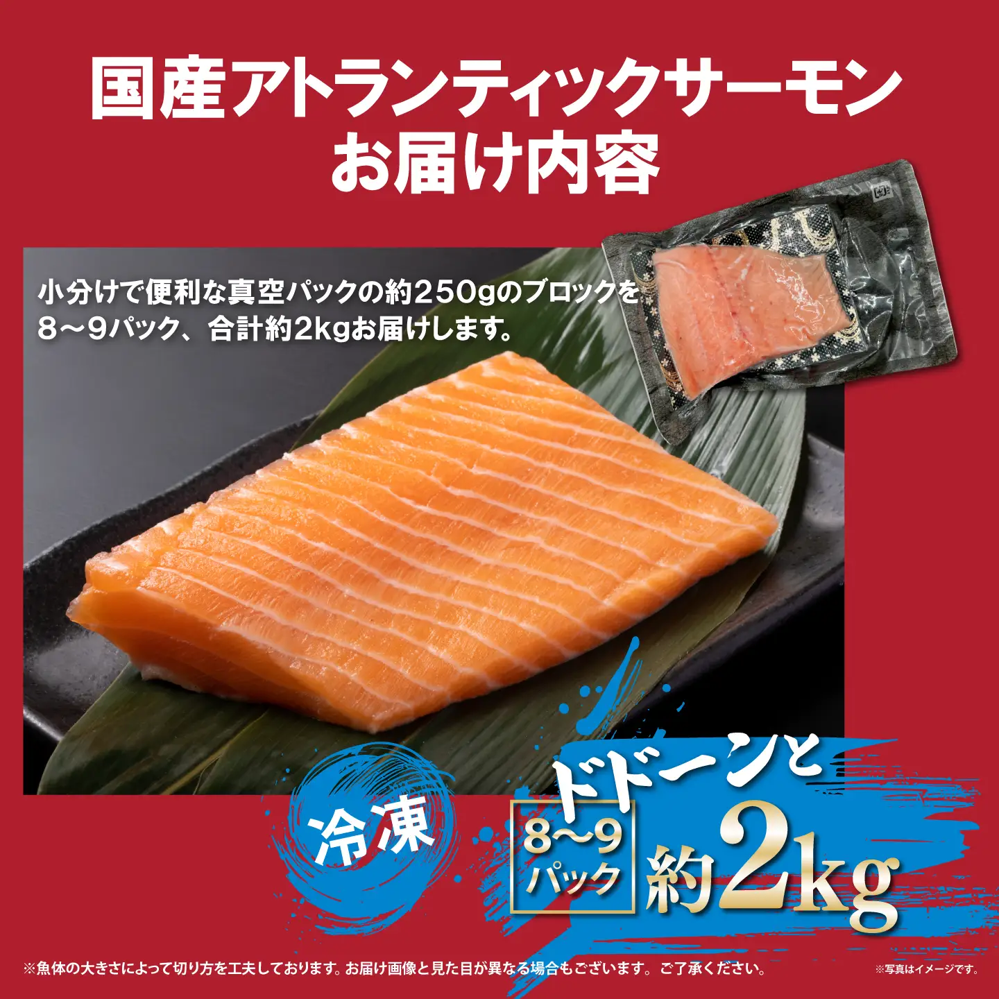 国産サーモン 冷凍 8～9P 約2kg サーモン