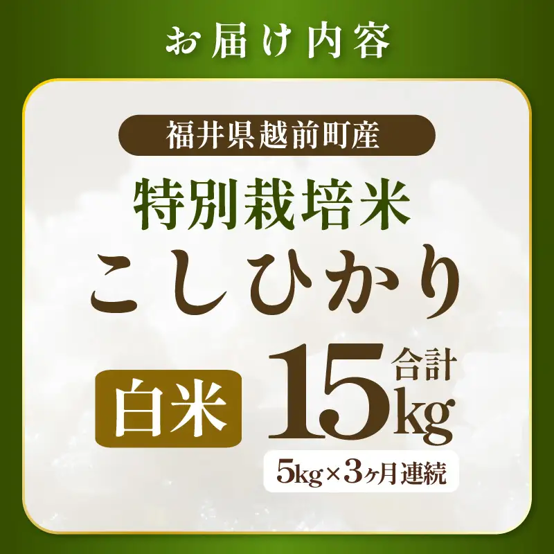 定期便 3ヶ月 新米【令和8年産】 特別栽培コシヒカリ5kg × 3回(白米）農薬化学肥料不使用【10月中旬以降発送】  [e81-e002_01]