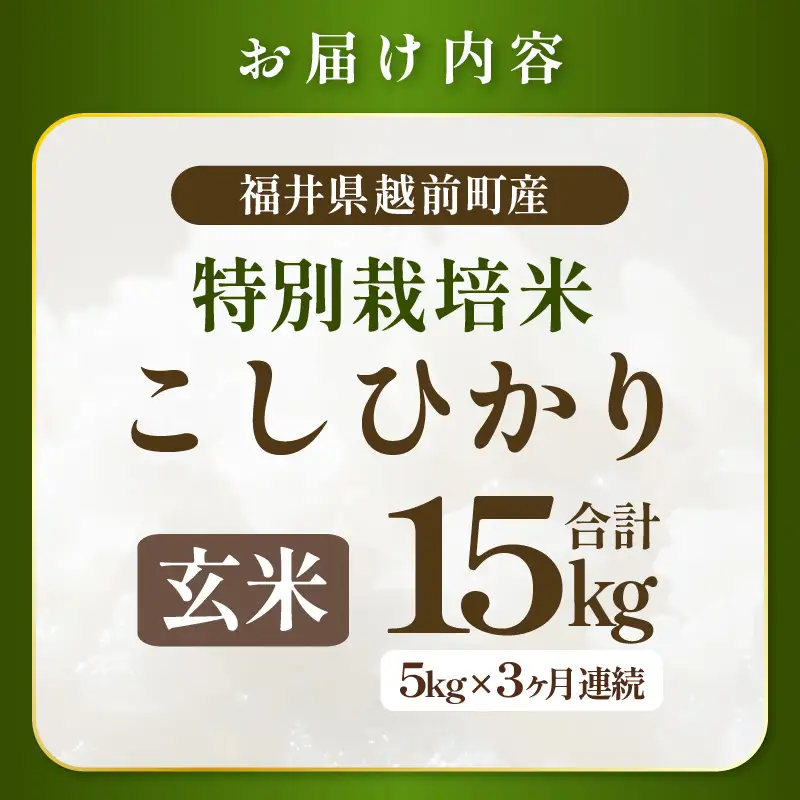 定期便 3ヶ月　新米【令和8年産】特別栽培米コシヒカリ5kg × 3回(玄米） 農薬化学肥料不使用【10月中旬以降発送】 [e81-e002_02]