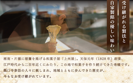 江ノ島 土産 ギフト 「 湘南 汐 セット 」 和菓子 詰め合わせ