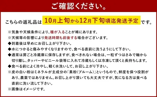 大粒 ぶどう 3種 セット 3房 計約2kg シャインマスカット ピオーネ クイーンニーナ 【2026年10月上旬から12月下旬頃迄発送予定】 ／ マスカット 葡萄 ブドウ 種無し 種なし