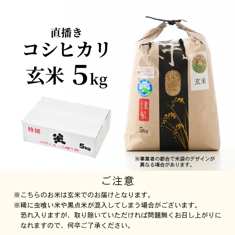 【先行予約】【令和8年産 新米】ワルツ農場の直播き コシヒカリ 玄米 5kg / お米 ご飯 つや 艶 甘味 旨み あわら市産 福井県産 慣行栽培 コメ 北陸 福井県 あわら市 ※2026年10月下旬以降発送予定 [aw046-a006]